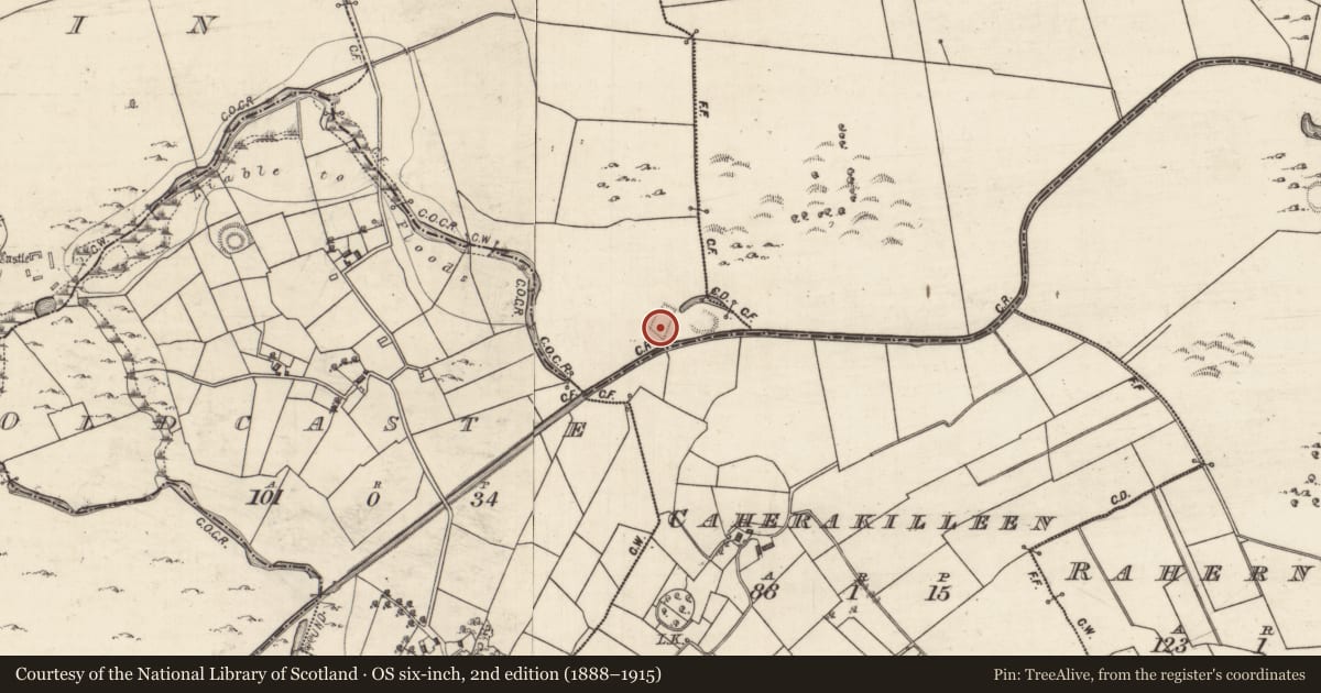 Ordnance Survey six-inch map, 2nd edition (1888–1915) covering the location of Moated site, Curragh More, County Galway, with a pin at the register's coordinates