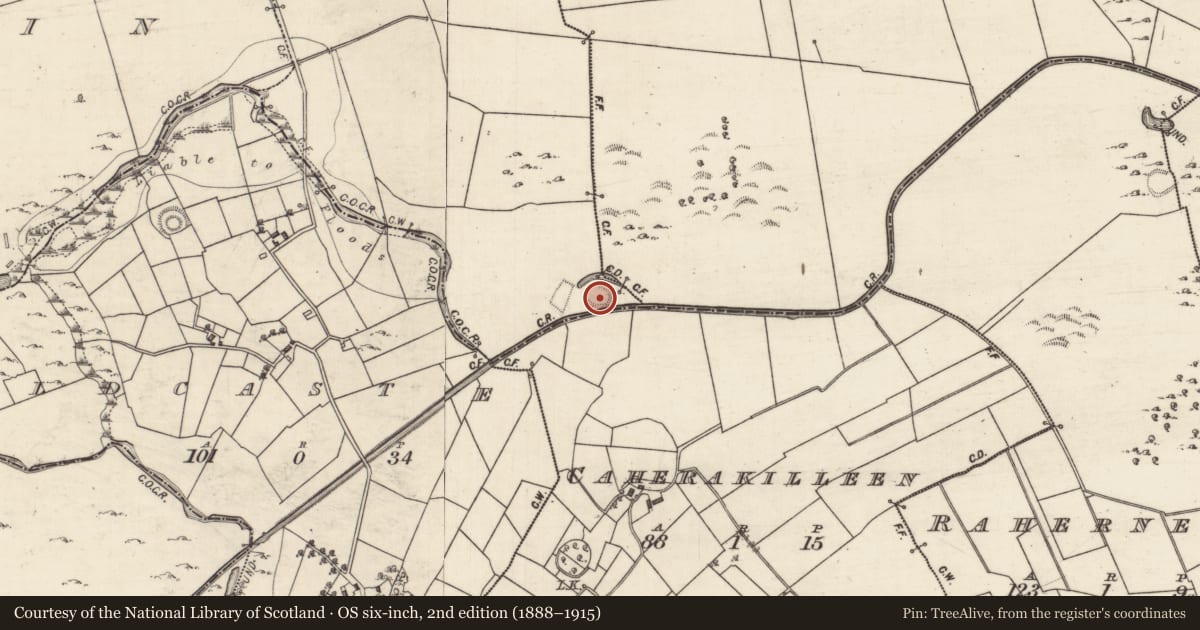 Ordnance Survey six-inch map, 2nd edition (1888–1915) covering the location of Ringfort - rath, Curragh More, County Galway, with a pin at the register's coordinates