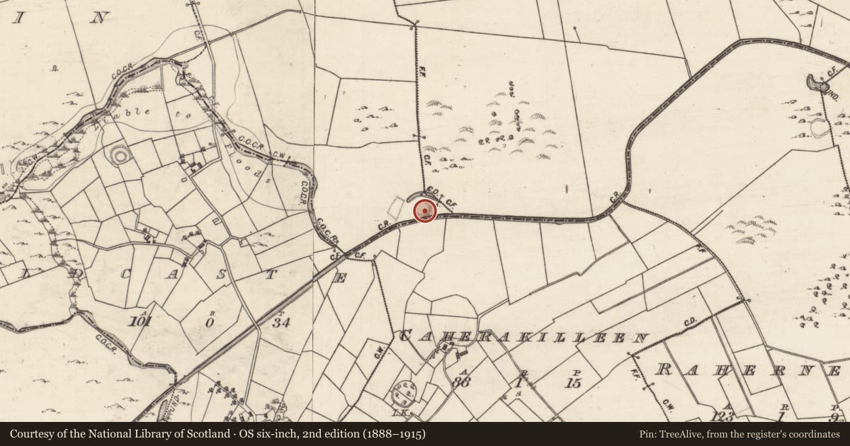 Ordnance Survey six-inch map, 2nd edition (1888–1915) covering the location of Children's burial ground, Curragh More, County Galway, with a pin at the register's coordinates