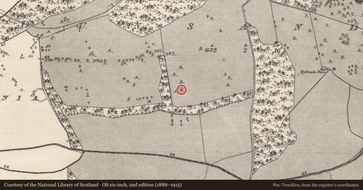Ordnance Survey six-inch map, 2nd edition (1888–1915) covering the location of Ringfort - rath, Dunsandle, County Galway, with a pin at the register's coordinates