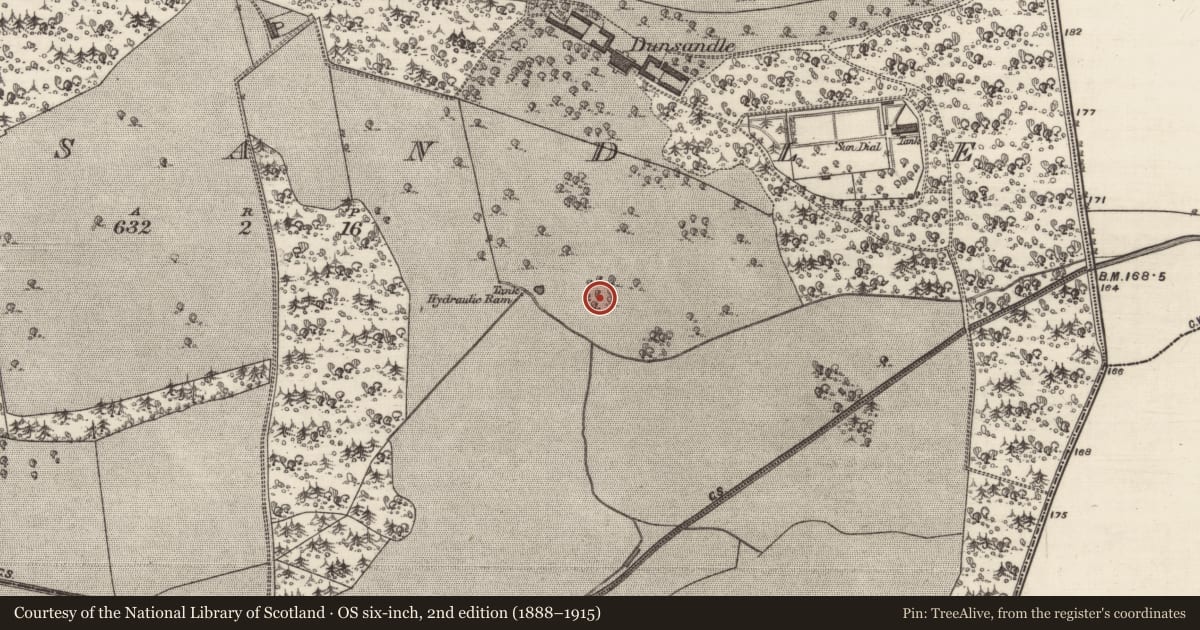 Ordnance Survey six-inch map, 2nd edition (1888–1915) covering the location of Designed landscape feature, Dunsandle, County Galway, with a pin at the register's coordinates