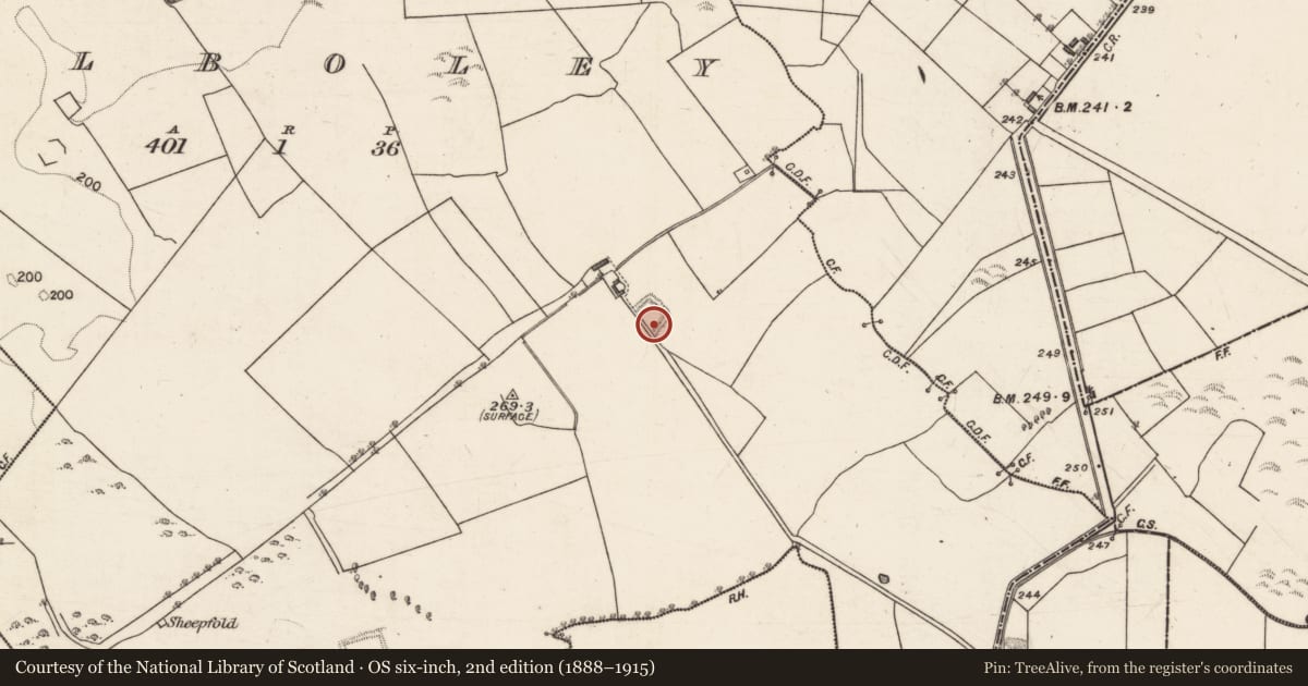Ordnance Survey six-inch map, 2nd edition (1888–1915) covering the location of Moated site, Galboley, County Galway, with a pin at the register's coordinates