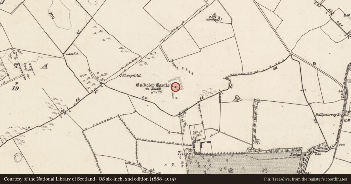 Ordnance Survey six-inch map, 2nd edition (1888–1915) covering the location of Moated site, Galboley, County Galway, with a pin at the register's coordinates
