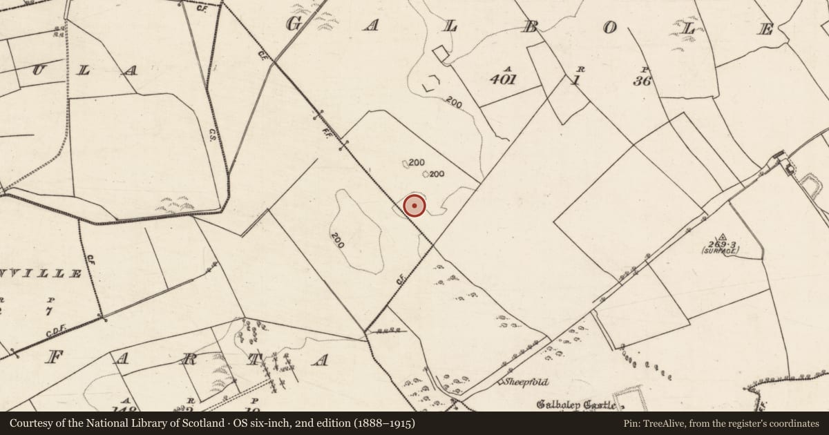 Ordnance Survey six-inch map, 2nd edition (1888–1915) covering the location of Enclosure, Galboley, County Galway, with a pin at the register's coordinates