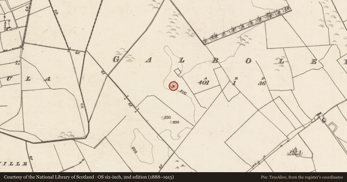 Ordnance Survey six-inch map, 2nd edition (1888–1915) covering the location of Ringfort - rath, Galboley, County Galway, with a pin at the register's coordinates
