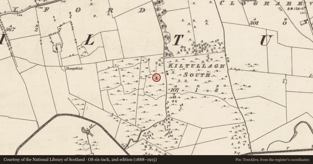 Ordnance Survey six-inch map, 2nd edition (1888–1915) covering the location of Ringfort - cashel, Greyford, County Galway, with a pin at the register's coordinates