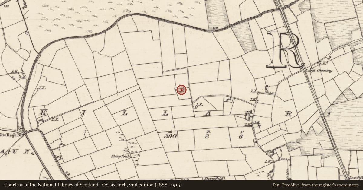 Ordnance Survey six-inch map, 2nd edition (1888–1915) covering the location of Ringfort - rath, Killarriv, County Galway, with a pin at the register's coordinates