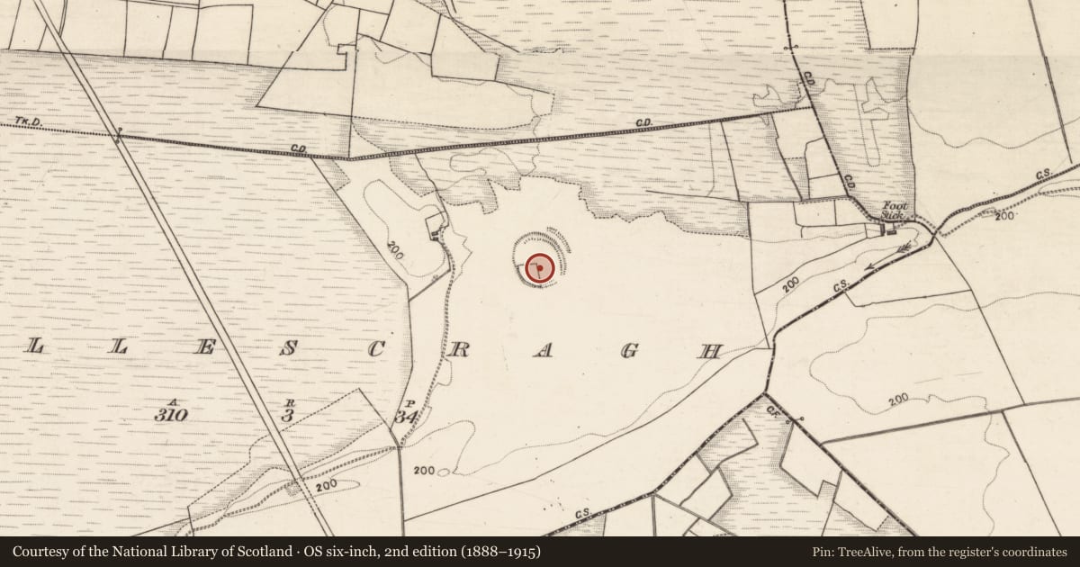 Ordnance Survey six-inch map, 2nd edition (1888–1915) covering the location of Ecclesiastical enclosure, Killescragh, County Galway, with a pin at the register's coordinates