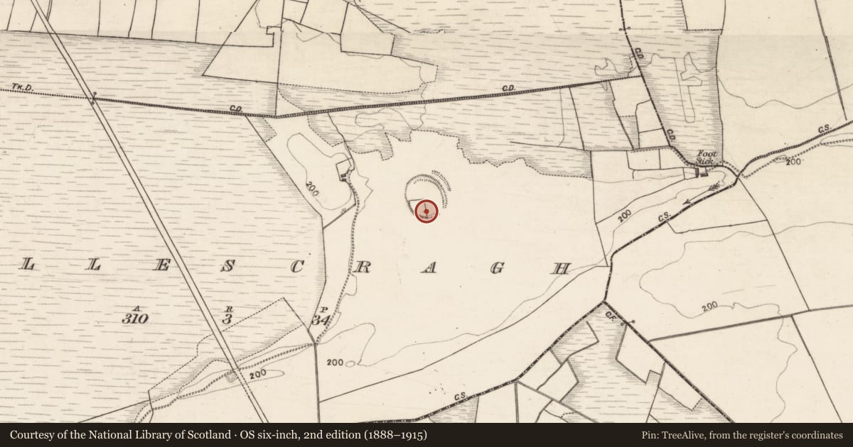 Ordnance Survey six-inch map, 2nd edition (1888–1915) covering the location of Children's burial ground, Killescragh, County Galway, with a pin at the register's coordinates
