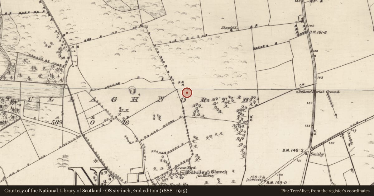 Ordnance Survey six-inch map, 2nd edition (1888–1915) covering the location of Ringfort - rath, Kiltullagh North, County Galway, with a pin at the register's coordinates