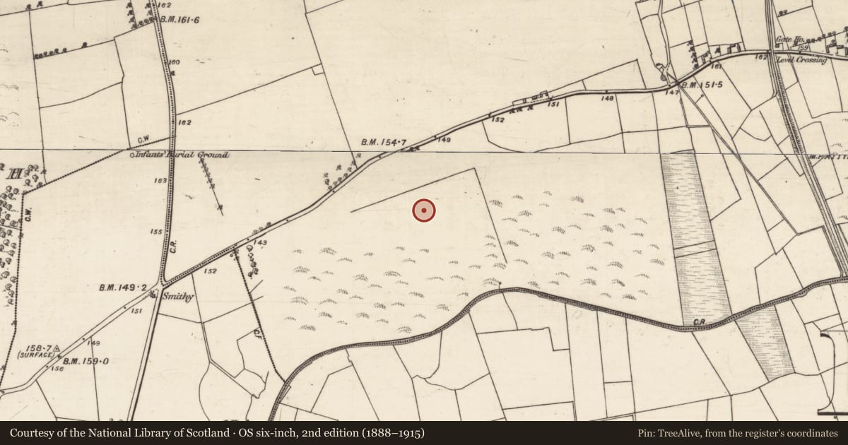 Ordnance Survey six-inch map, 2nd edition (1888–1915) covering the location of Ringfort - rath, Knockatogher, County Galway, with a pin at the register's coordinates
