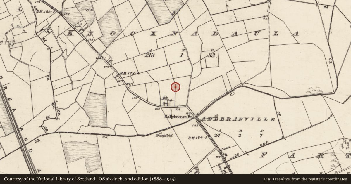 Ordnance Survey six-inch map, 2nd edition (1888–1915) covering the location of Ringfort - rath, Knocknadaula, County Galway, with a pin at the register's coordinates