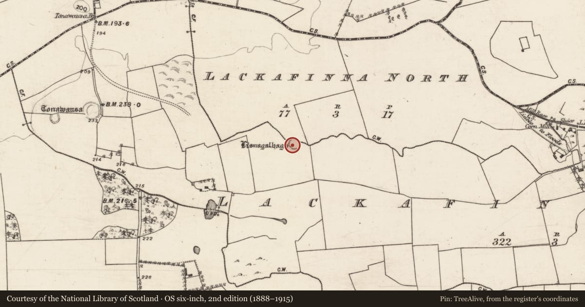Ordnance Survey six-inch map, 2nd edition (1888–1915) covering the location of Ringfort - rath, Lackafinna North, Lackafinna South, County Galway, with a pin at the register's coordinates