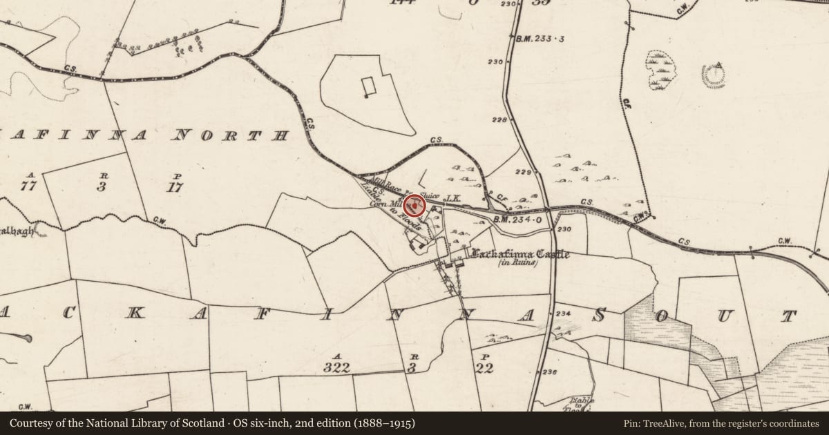 Ordnance Survey six-inch map, 2nd edition (1888–1915) covering the location of Mill - corn, Lackafinna South, County Galway, with a pin at the register's coordinates