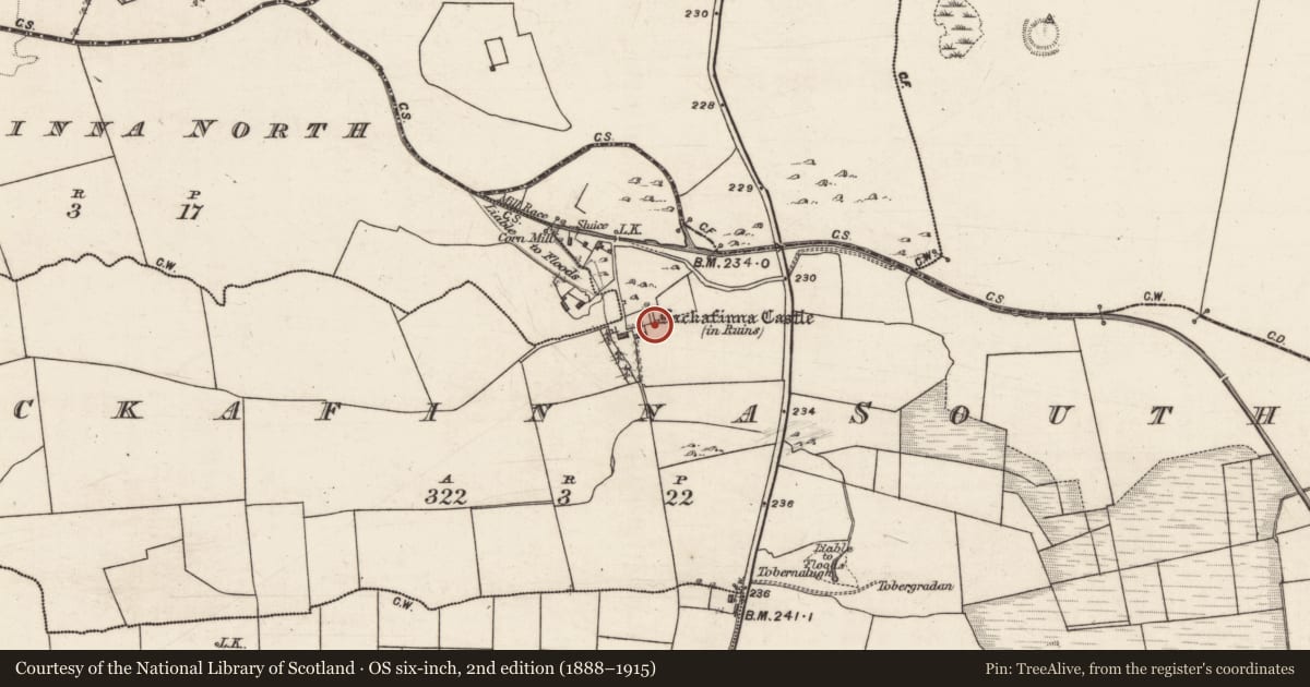 Ordnance Survey six-inch map, 2nd edition (1888–1915) covering the location of Castle - tower house, Lackafinna South, County Galway, with a pin at the register's coordinates