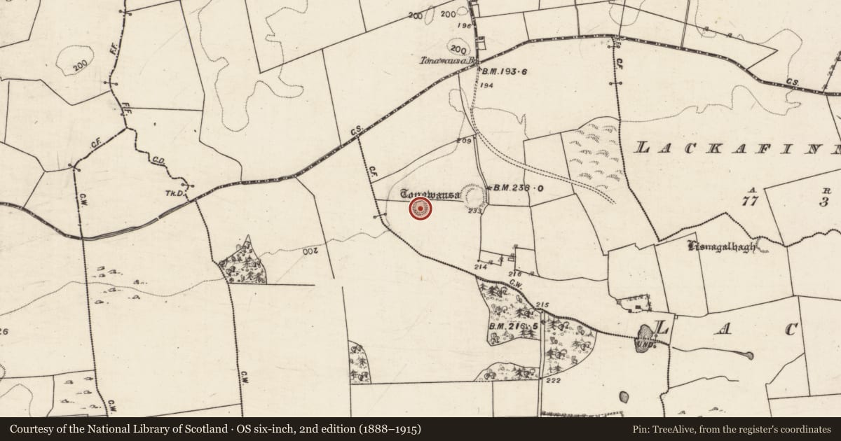 Ordnance Survey six-inch map, 2nd edition (1888–1915) covering the location of Ringfort - rath, Lackafinna South, County Galway, with a pin at the register's coordinates