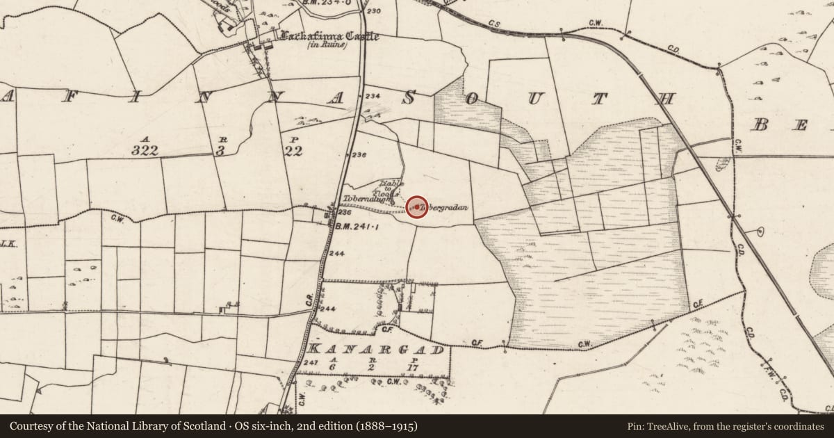 Ordnance Survey six-inch map, 2nd edition (1888–1915) covering the location of Well, Lackafinna South, County Galway, with a pin at the register's coordinates