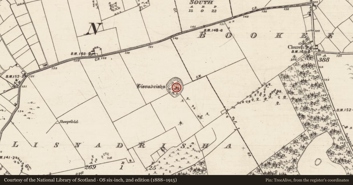 Ordnance Survey six-inch map, 2nd edition (1888–1915) covering the location of Souterrain, Lisnadrisha, County Galway, with a pin at the register's coordinates