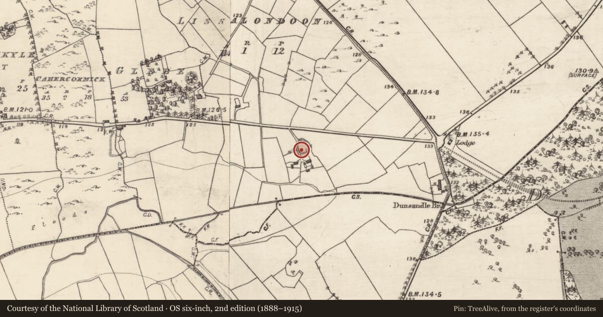 Ordnance Survey six-inch map, 2nd edition (1888–1915) covering the location of Ringfort - rath, Lissalondoon, County Galway, with a pin at the register's coordinates