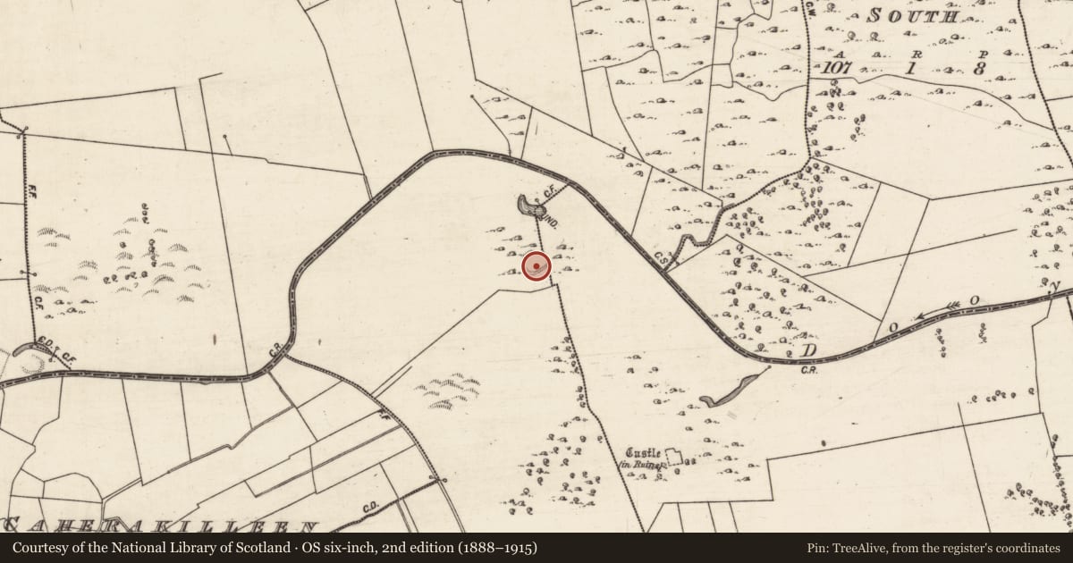 Ordnance Survey six-inch map, 2nd edition (1888–1915) covering the location of Ringfort - rath, Raherneen, Cahernalee, County Galway, with a pin at the register's coordinates