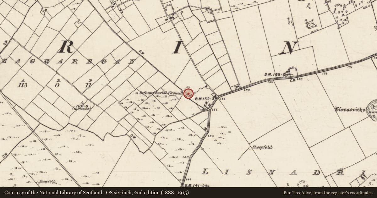 Ordnance Survey six-inch map, 2nd edition (1888–1915) covering the location of Ringfort - cashel, Raherneen, County Galway, with a pin at the register's coordinates