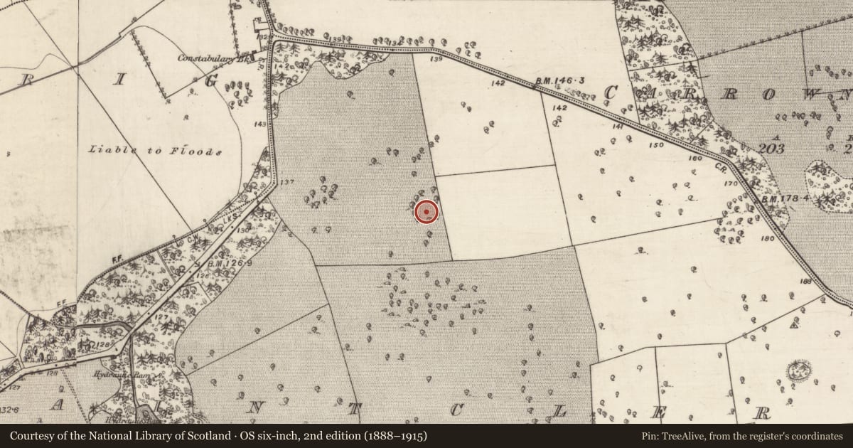 Ordnance Survey six-inch map, 2nd edition (1888–1915) covering the location of Ringfort - rath, Saintclerans, County Galway, with a pin at the register's coordinates
