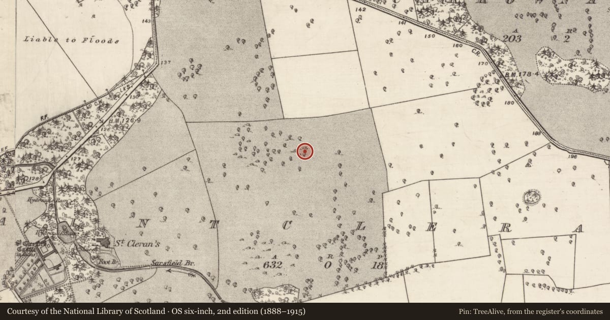 Ordnance Survey six-inch map, 2nd edition (1888–1915) covering the location of Ringfort - cashel, Saintclerans, County Galway, with a pin at the register's coordinates