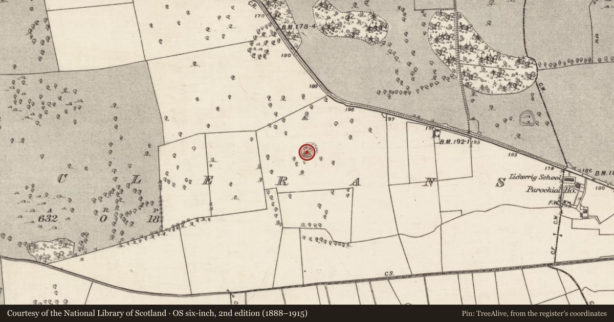 Ordnance Survey six-inch map, 2nd edition (1888–1915) covering the location of Ringfort - cashel, Saintclerans, County Galway, with a pin at the register's coordinates
