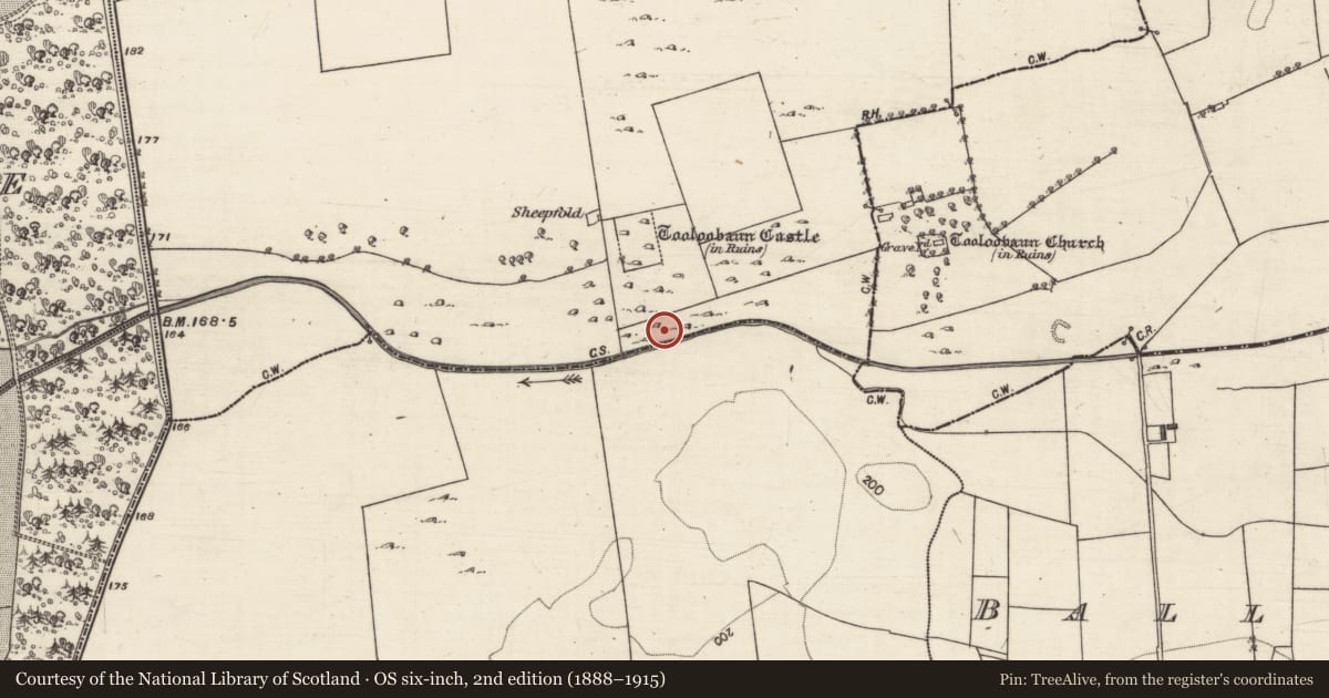 Ordnance Survey six-inch map, 2nd edition (1888–1915) covering the location of Fish-pond, Tooloobaunbeg, County Galway, with a pin at the register's coordinates