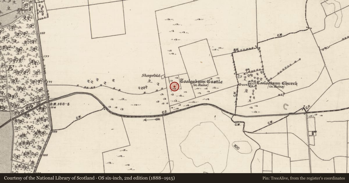Ordnance Survey six-inch map, 2nd edition (1888–1915) covering the location of Bawn, Tooloobaunbeg, County Galway, with a pin at the register's coordinates