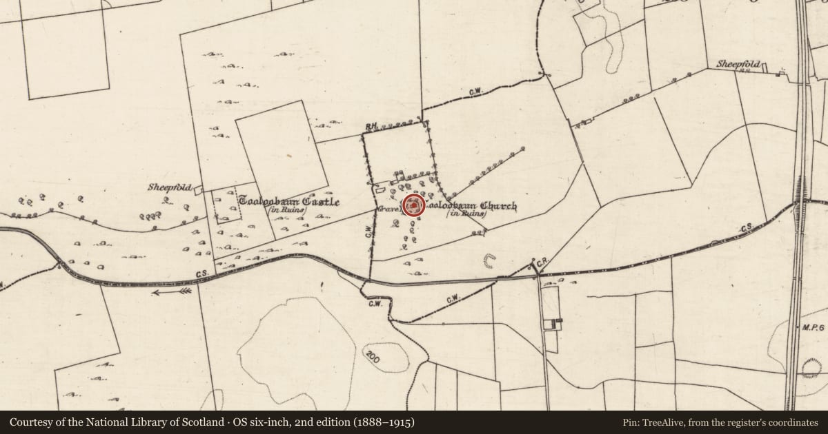 Ordnance Survey six-inch map, 2nd edition (1888–1915) covering the location of Church, Tooloobauntemple, County Galway, with a pin at the register's coordinates