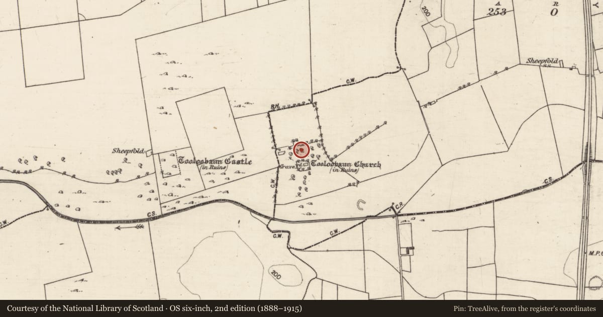 Ordnance Survey six-inch map, 2nd edition (1888–1915) covering the location of Standing stone, Tooloobauntemple, County Galway, with a pin at the register's coordinates