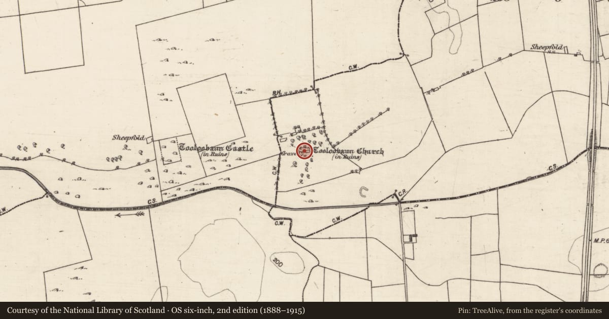 Ordnance Survey six-inch map, 2nd edition (1888–1915) covering the location of Graveyard, Tooloobauntemple, County Galway, with a pin at the register's coordinates