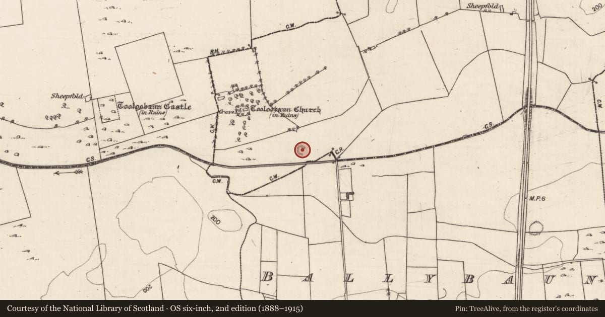 Ordnance Survey six-inch map, 2nd edition (1888–1915) covering the location of Ringfort - rath, Tooloobauntemple, County Galway, with a pin at the register's coordinates