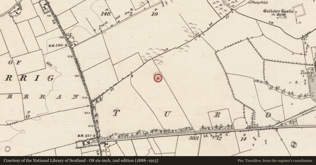 Ordnance Survey six-inch map, 2nd edition (1888–1915) covering the location of Ringfort - rath, Turoe, County Galway, with a pin at the register's coordinates