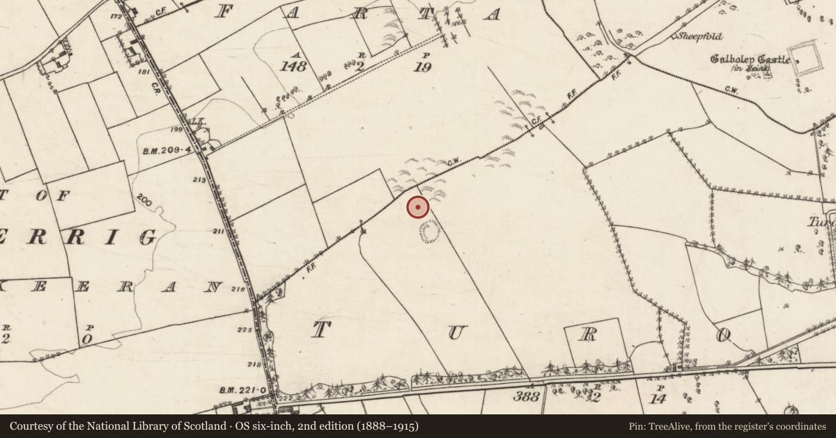 Ordnance Survey six-inch map, 2nd edition (1888–1915) covering the location of Standing stone, Turoe, County Galway, with a pin at the register's coordinates