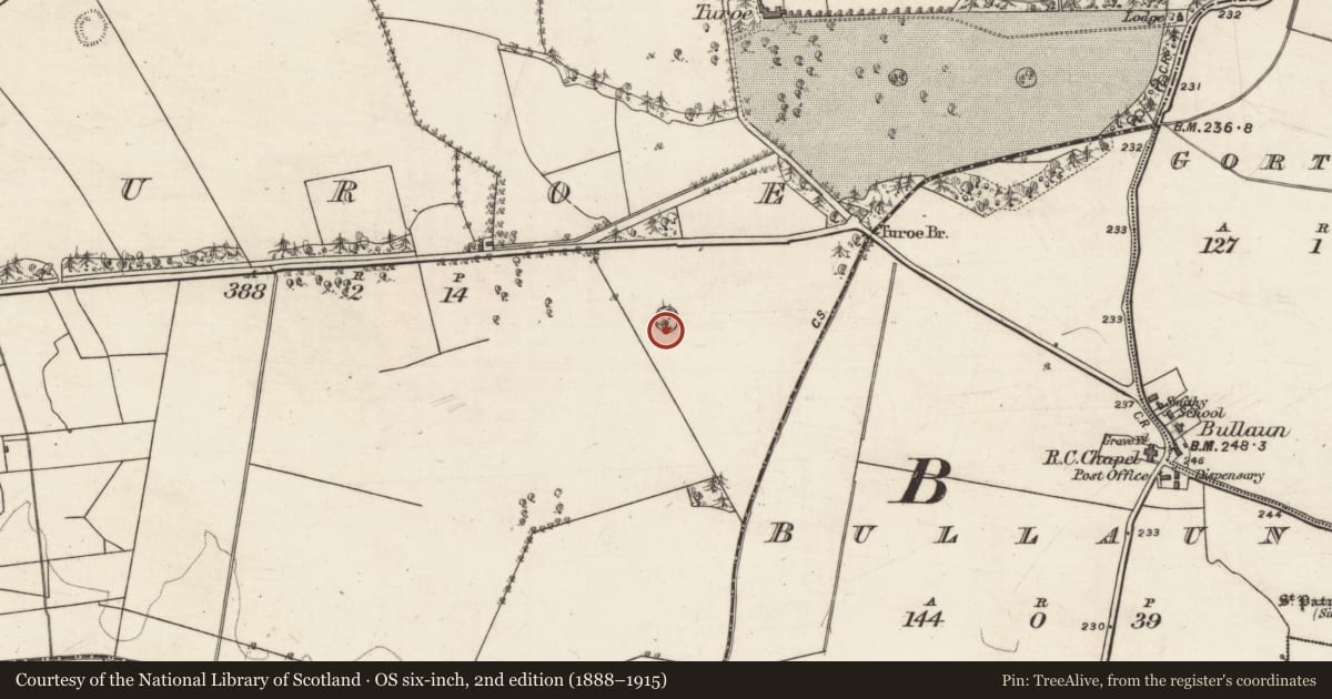 Ordnance Survey six-inch map, 2nd edition (1888–1915) covering the location of Enclosure, Turoe, County Galway, with a pin at the register's coordinates