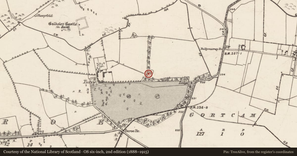 Ordnance Survey six-inch map, 2nd edition (1888–1915) covering the location of Designed landscape - tree-ring, Turoe, County Galway, with a pin at the register's coordinates
