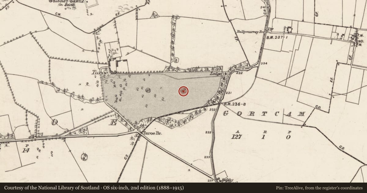 Ordnance Survey six-inch map, 2nd edition (1888–1915) covering the location of Designed landscape - tree-ring, Turoe, County Galway, with a pin at the register's coordinates
