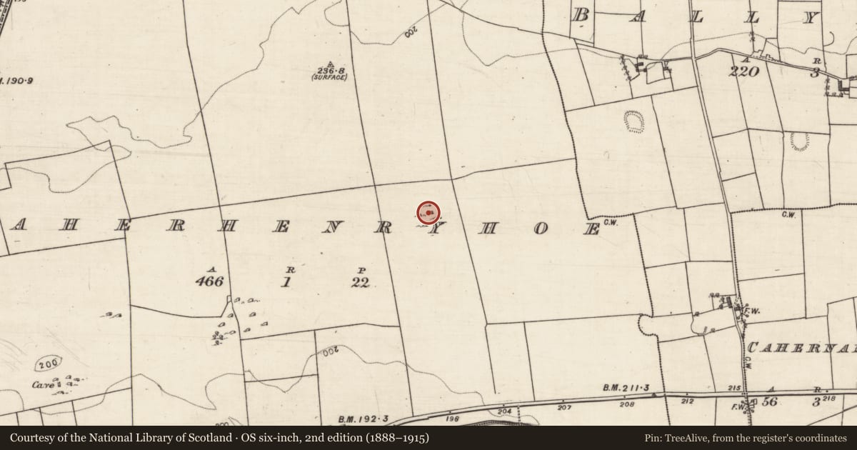 Ordnance Survey six-inch map, 2nd edition (1888–1915) covering the location of Souterrain, Caherhenryhoe, County Galway, with a pin at the register's coordinates