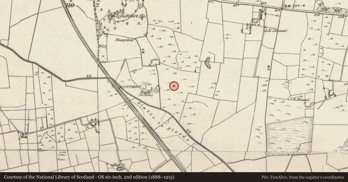 Ordnance Survey six-inch map, 2nd edition (1888–1915) covering the location of Earthwork, Cahernamuck East, County Galway, with a pin at the register's coordinates