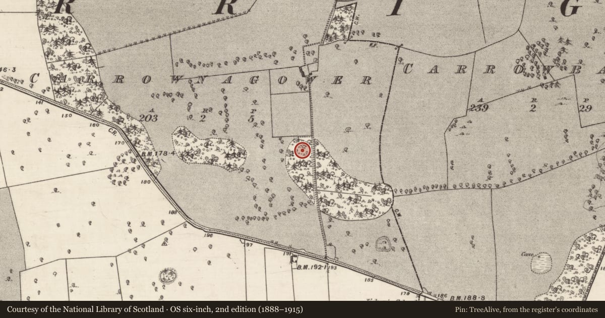 Ordnance Survey six-inch map, 2nd edition (1888–1915) covering the location of Souterrain, Carrownagower, County Galway, with a pin at the register's coordinates