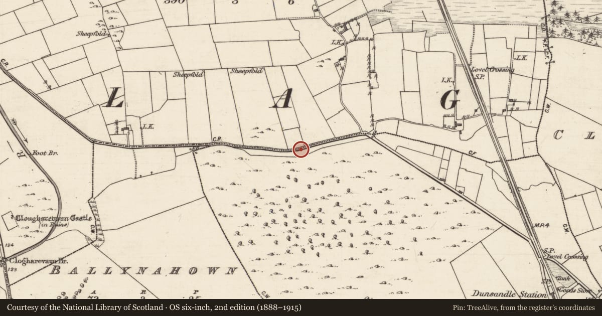 Ordnance Survey six-inch map, 2nd edition (1888–1915) covering the location of Children's burial ground, Killarriv, County Galway, with a pin at the register's coordinates
