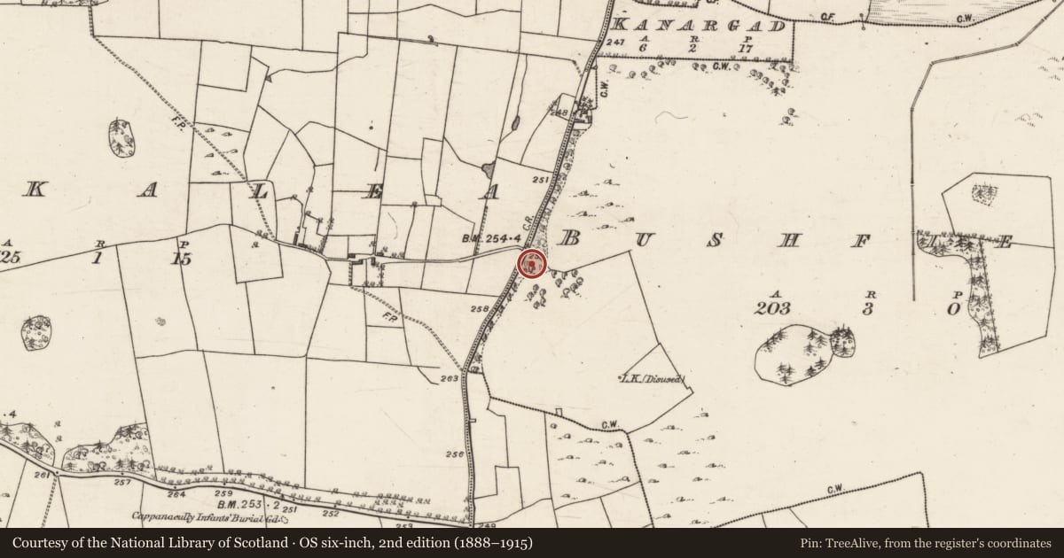 Ordnance Survey six-inch map, 2nd edition (1888–1915) covering the location of Designed landscape feature, Bushfield, County Galway, with a pin at the register's coordinates