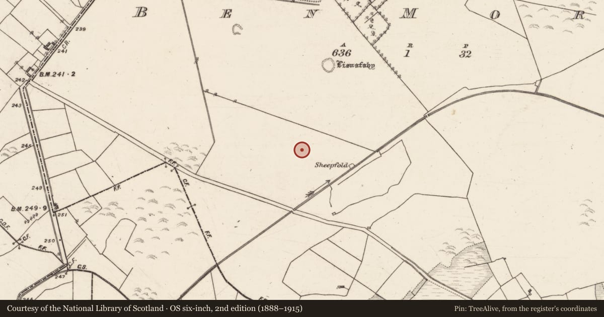 Ordnance Survey six-inch map, 2nd edition (1888–1915) covering the location of Enclosure, Ben More, County Galway, with a pin at the register's coordinates