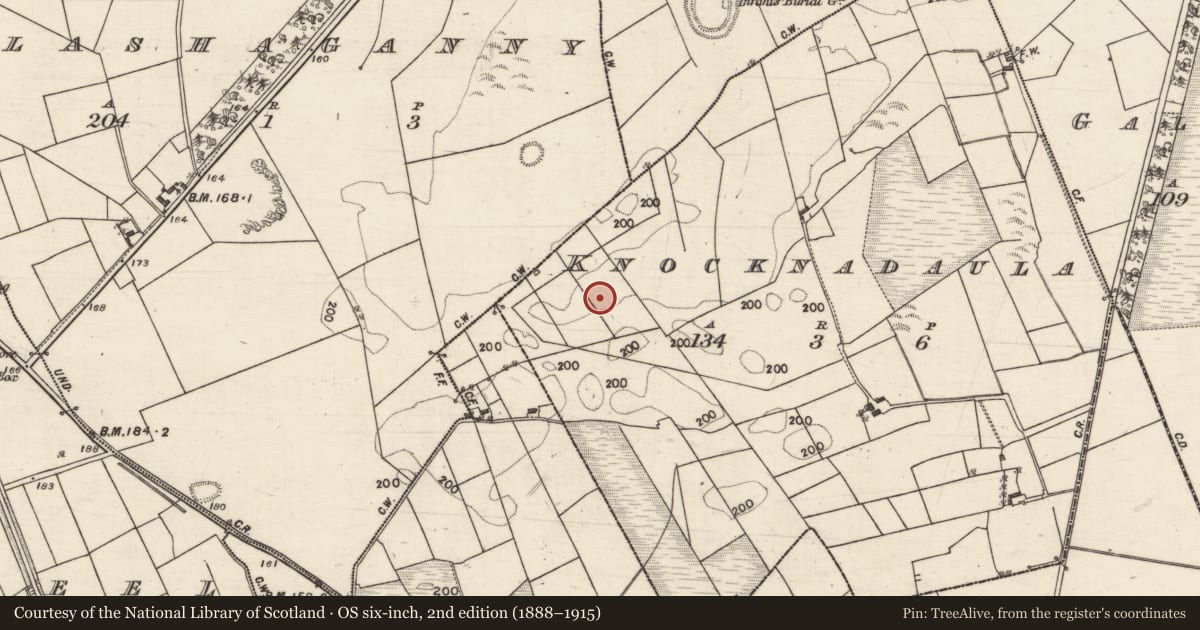 Ordnance Survey six-inch map, 2nd edition (1888–1915) covering the location of Enclosure, Knocknadaula, County Galway, with a pin at the register's coordinates
