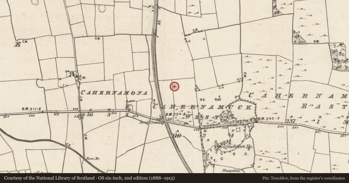 Ordnance Survey six-inch map, 2nd edition (1888–1915) covering the location of Enclosure, Cahernamuck West, County Galway, with a pin at the register's coordinates