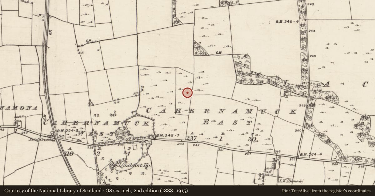 Ordnance Survey six-inch map, 2nd edition (1888–1915) covering the location of Enclosure, Cahernamuck East, County Galway, with a pin at the register's coordinates