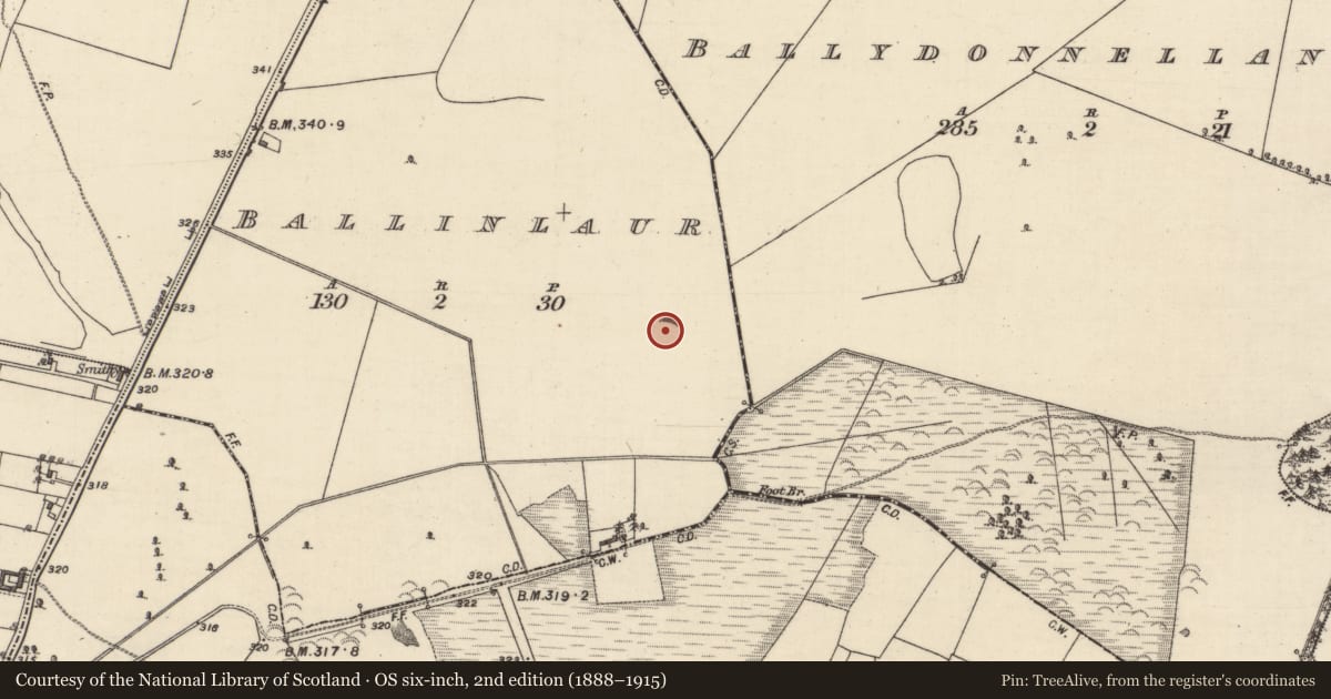 Ordnance Survey six-inch map, 2nd edition (1888–1915) covering the location of Quarry, Ballinlaur, County Galway, with a pin at the register's coordinates