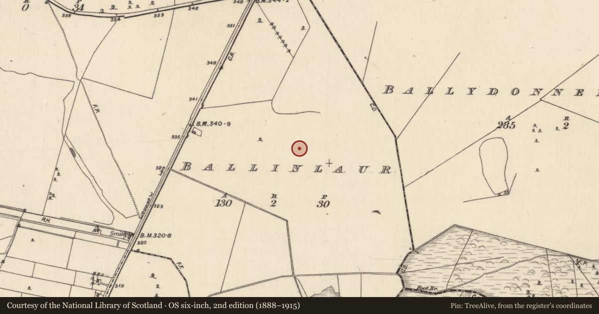 Ordnance Survey six-inch map, 2nd edition (1888–1915) covering the location of Prehistoric site - lithic scatter, Ballinlaur, County Galway, with a pin at the register's coordinates